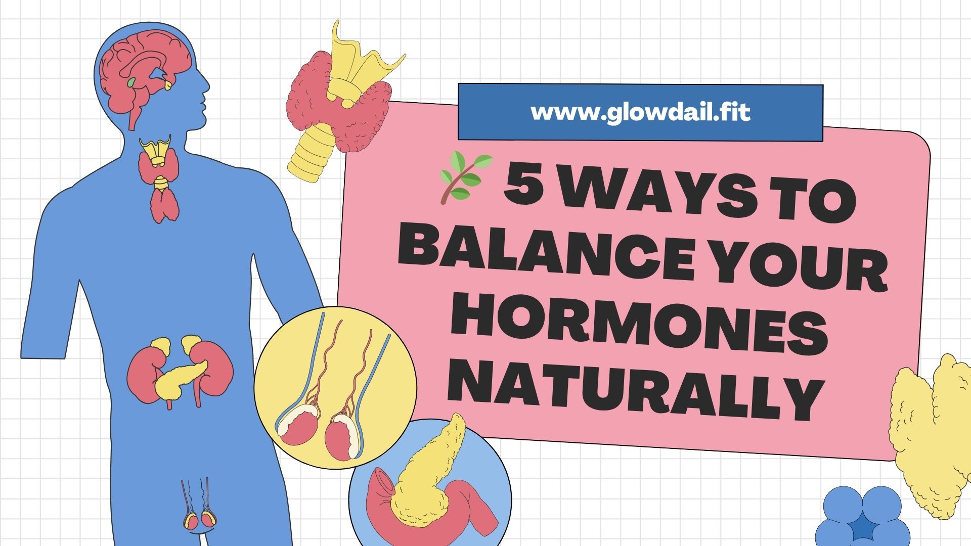 5 Ways to Balance Your Hormones Naturally